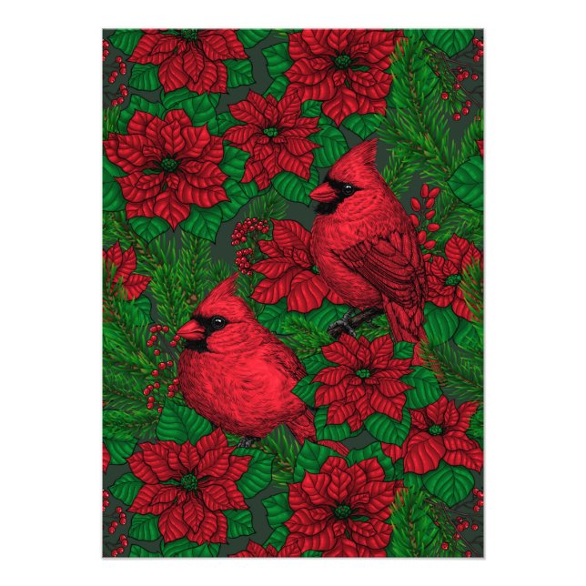 Kardinals und Poinsettia for Christmas Fotodruck (Vorne)