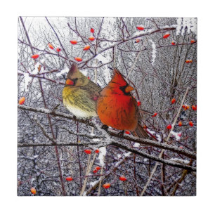 Kardinals-Waldfliese Fliese