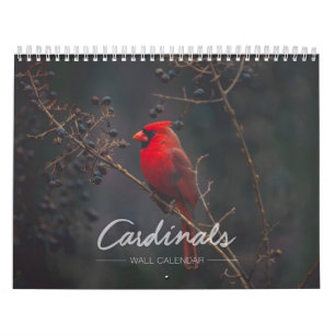 Kardinals-Wandkalender Kalender
