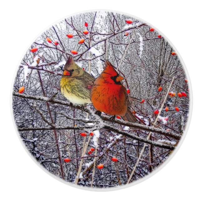 Kardinals-Weihnachtsgriff Keramikknauf (Vorderseite)