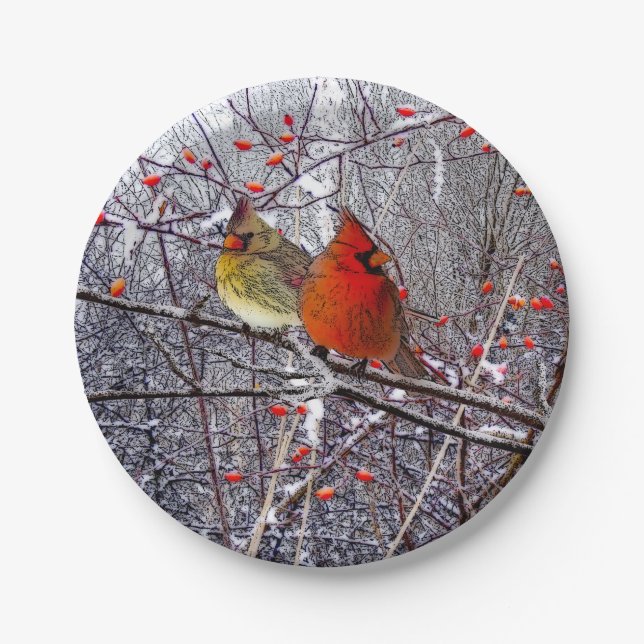 Kardinals-Weihnachtspapier-Teller Pappteller (Vorderseite)