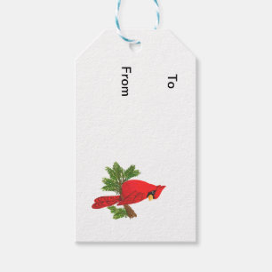 Kardinalsfallumbau, nach und von Geschenkumbau, Geschenkanhänger