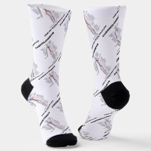 Kardiologen gehen einfach mit dem Flusskreislauf Socken