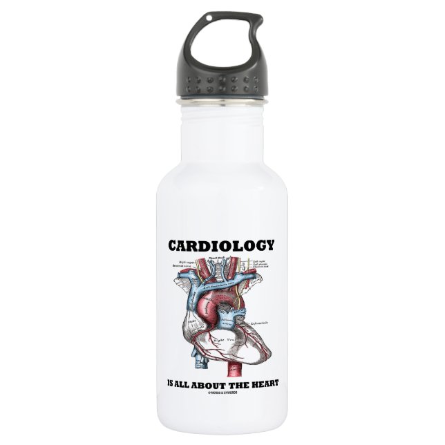 Kardiologie ist ganz über das Herz (anatomisch) Edelstahlflasche (Vorderseite)