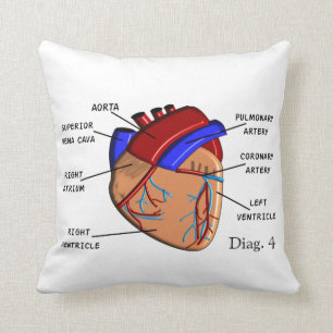Kardiologie-Kissen "das Herz" Diag. 4 Kissen