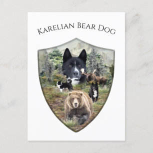 Karelian Bear Dog Postkarte