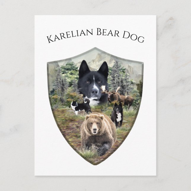 Karelian Bear Dog Postkarte (Vorderseite)