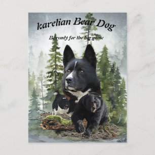 Karelian Bear Dog Postkarte