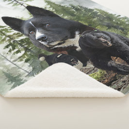 Karelian Bear Dog Sherpadecke