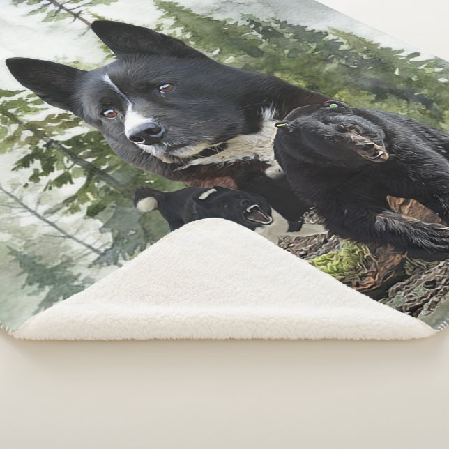Karelian Bear Dog Sherpadecke (3/4)