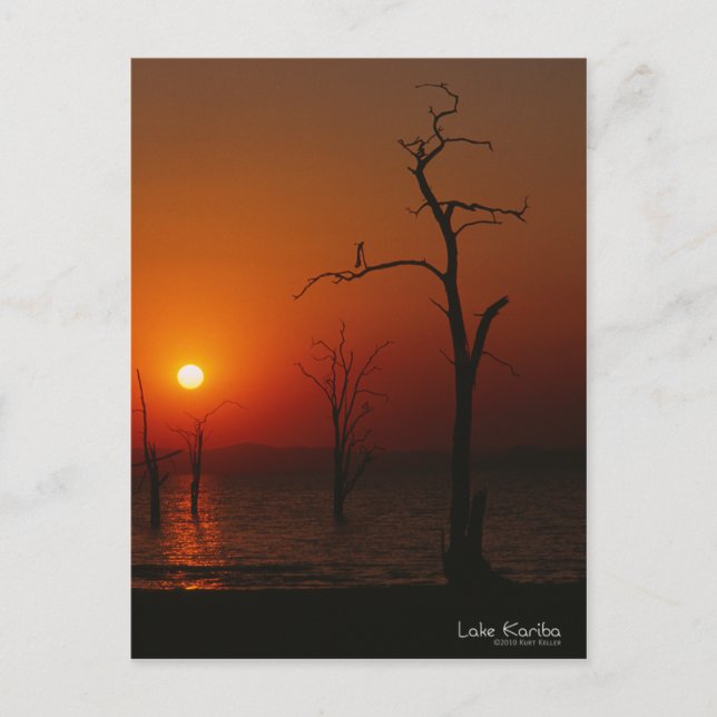 Kariba Sunset Postcard Postkarte (Vorderseite)