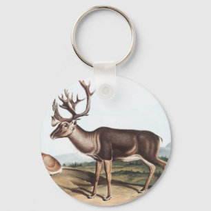 Karibik, American Rein Deer (Tarandus furcifer) Schlüsselanhänger