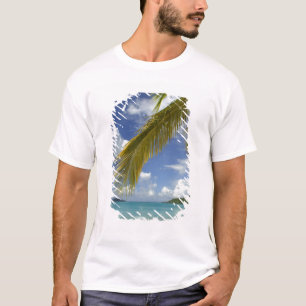 Karibik, Amerikanische Jungferninseln, St. Thomas, T-Shirt