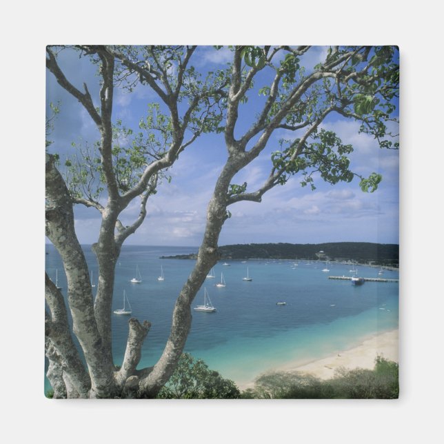 Karibik, Anguilla Island, Road Bay Harbour. Magnet (Vorne)
