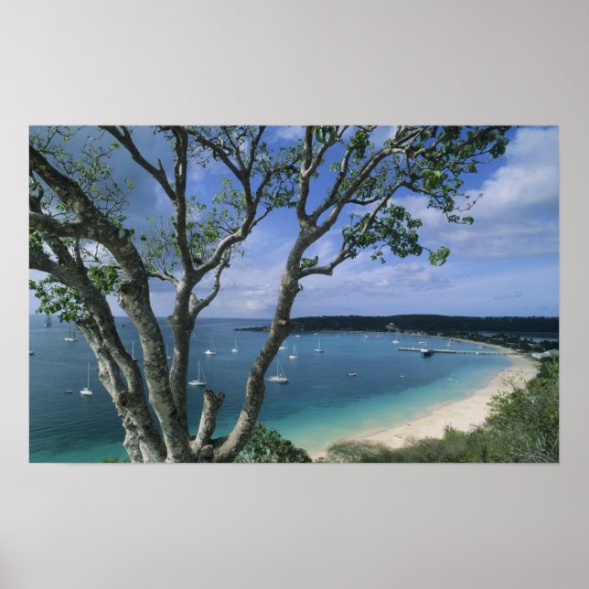 Karibik, Anguilla Island, Road Bay Harbour. Poster (Vorne)