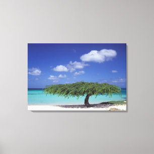Karibik, Aruba. Adlerstrand Leinwanddruck
