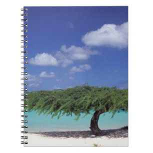 Karibik, Aruba. Adlerstrand Notizblock