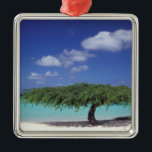Karibik, Aruba. Adlerstrand Silbernes Ornament<br><div class="desc">COPYRIGHT Sergio Pitamitz / DanitaDelimont.com| CA04 SPI0015.jpg| Karibik,  Aruba. Adlerstrand</div>