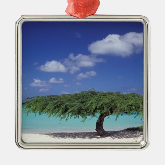 Karibik, Aruba. Adlerstrand Silbernes Ornament (Vorne)