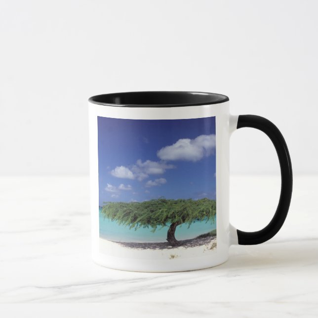 Karibik, Aruba. Adlerstrand Tasse (Rechts)