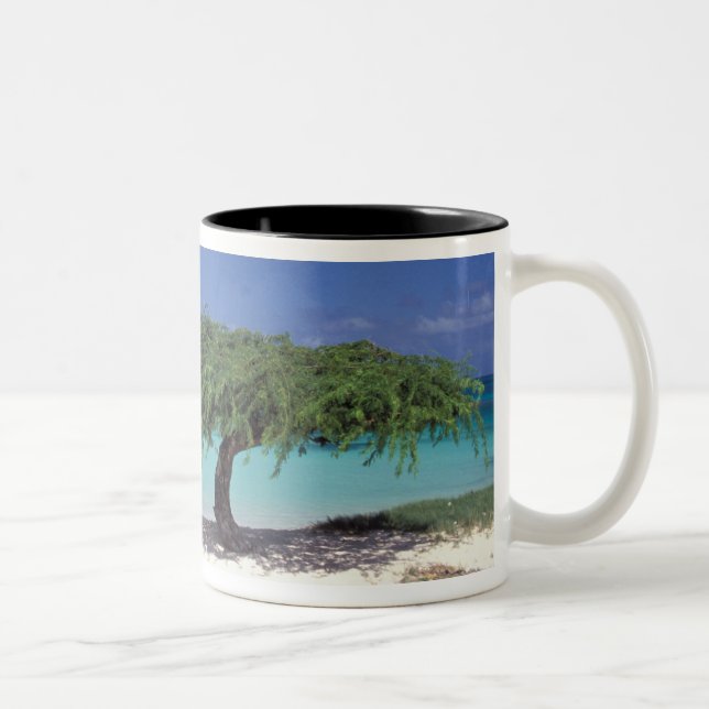 Karibik, Aruba. Adlerstrand Zweifarbige Tasse (Rechts)