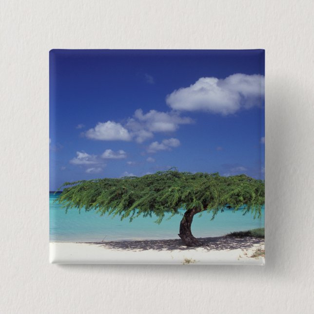 Karibik, Aruba. Eagle Beach Button (Vorderseite)
