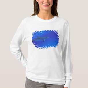 Karibik, Bahamas Tüpfeldelfin T-Shirt