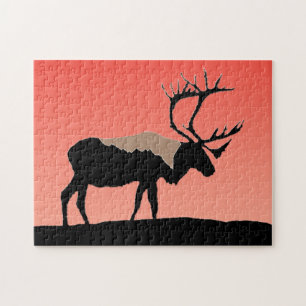 Karibik bei Sunset - Original Wildlife Art