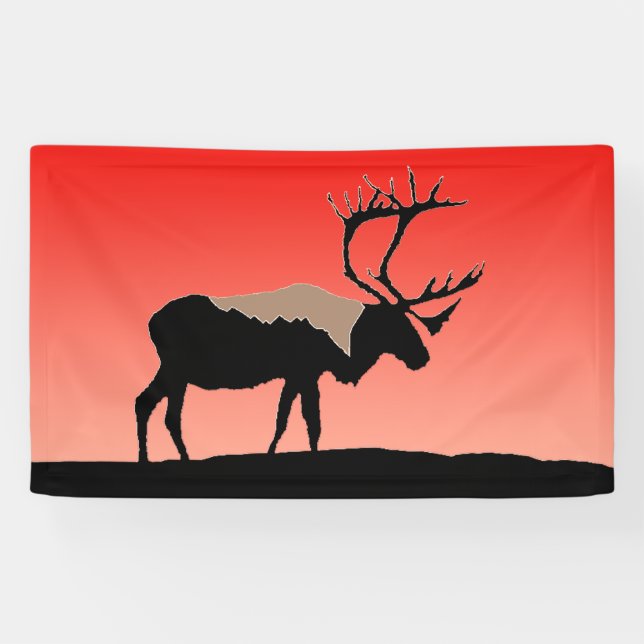Karibik bei Sunset - Original Wildlife Art Banner (Horizontal)