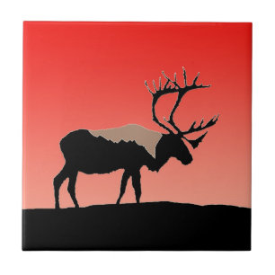 Karibik bei Sunset - Original Wildlife Art Fliese