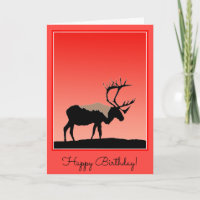 Karibik bei Sunset - Original Wildlife Art
