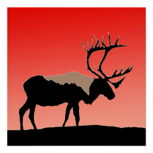 Karibik bei Sunset - Original Wildlife Art Poster