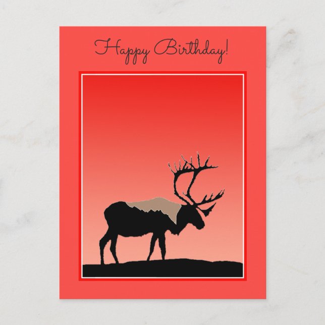 Karibik bei Sunset - Original Wildlife Art Postkarte (Vorderseite)