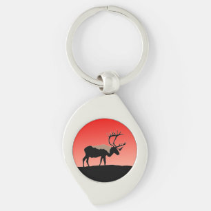 Karibik bei Sunset - Original Wildlife Art Schlüsselanhänger