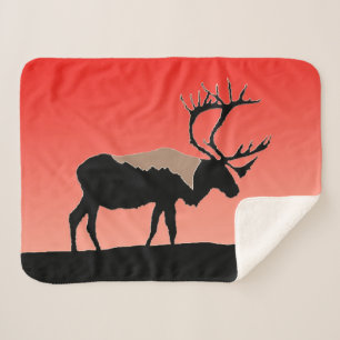Karibik bei Sunset - Original Wildlife Art Sherpadecke
