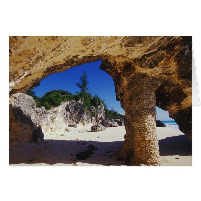 Karibik, Bermuda, Tucker's Town. Natur (Vorderseite (Horizontal))