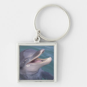 Karibik, Bottlenose Schlüsselanhänger