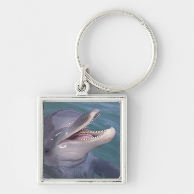 Karibik, Bottlenose Schlüsselanhänger (Vorne)