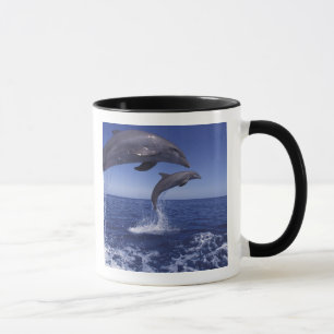Karibik, Bottlenose Tasse