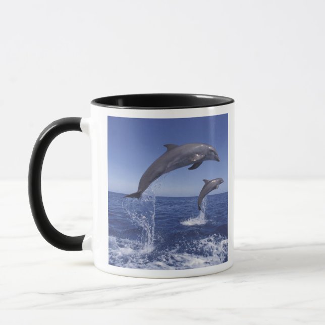 Karibik, Bottlenose Tasse (Links)