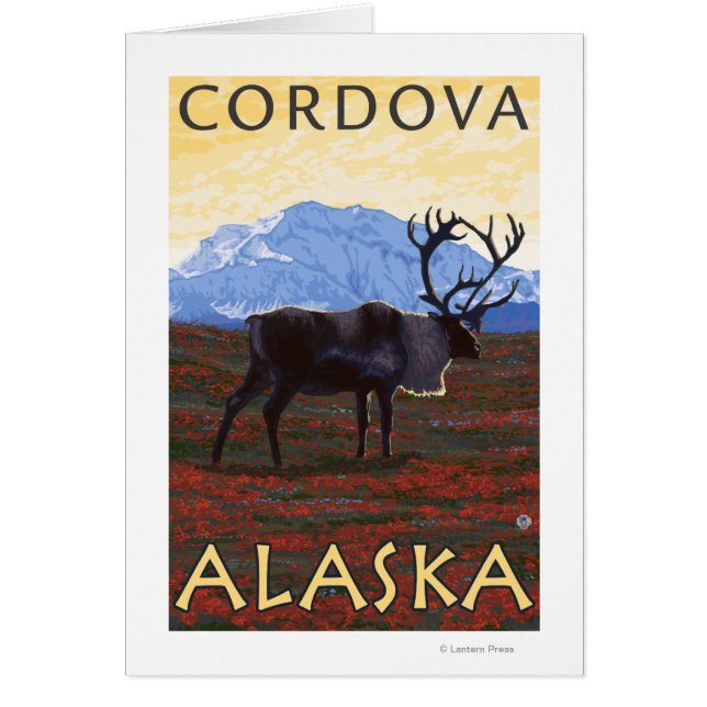 Karibik - Cordova, Alaska (Vorne)