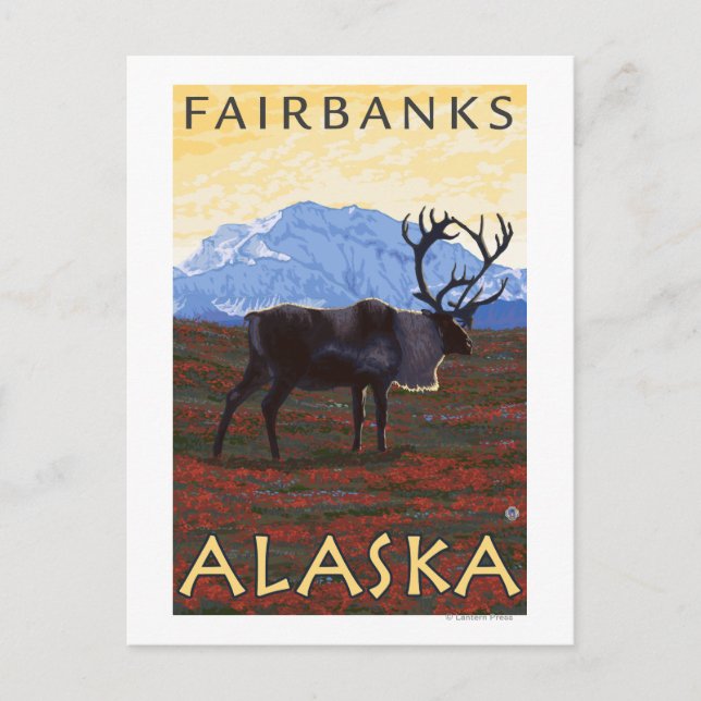 Karibik - Fairbanks, Alaska Postkarte (Vorderseite)