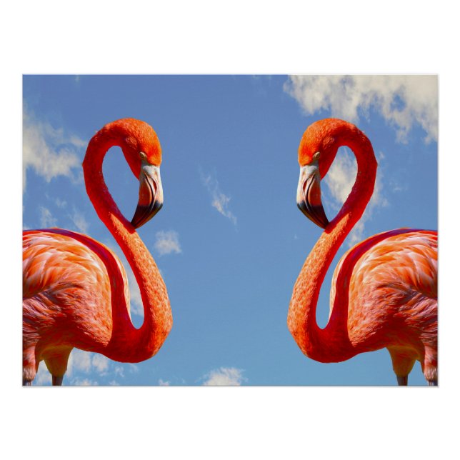 Karibik-Flamingo Poster (Vorderseite)