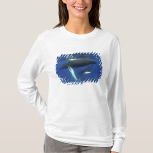Karibik, Greater Antilles Archipel, T-Shirt