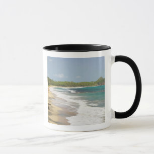 Karibik, GRENADA, Ostküste, Grenada Bay, Tasse