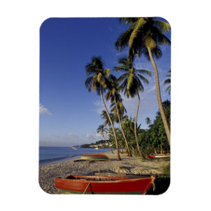 KARIBIK, Grenada, St. George, Boote auf Palmen Magnet