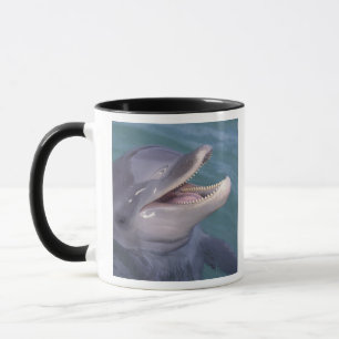 Karibik, Großer Tümmler Tasse