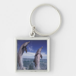 Karibik, Großer Tümmler Tursiops Schlüsselanhänger