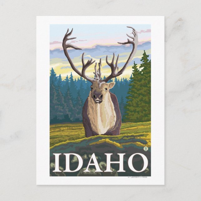 Karibik im Wilden - Idaho Postkarte (Vorderseite)