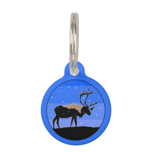 Karibik im Winter - Original Wildlife Art Haustiermarke